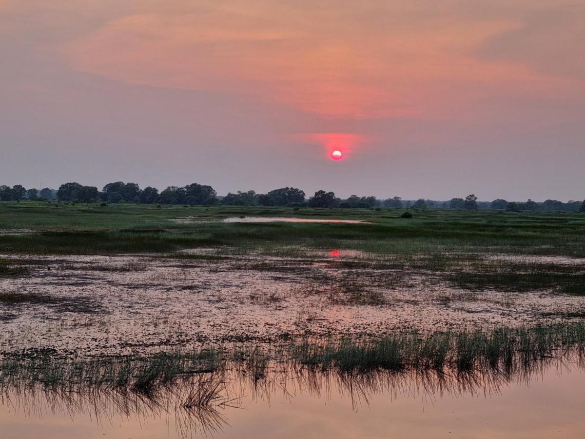 Wildbird Hotel Tràm Chim 外观 照片
